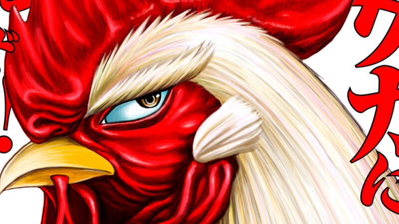 Editora Panini divulga novo mangá: “Rooster Fighter”